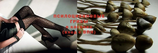 jwh Бородино