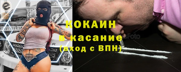 стафф Богданович