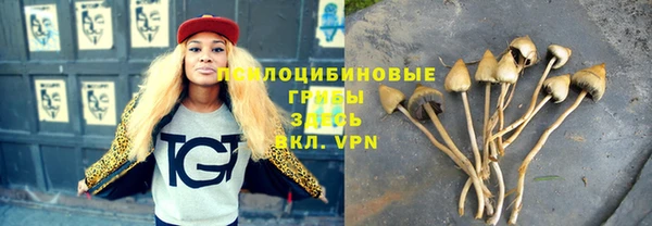 а пвп мука Богородск