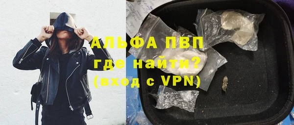 стафф Богданович
