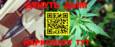 амф Заволжье