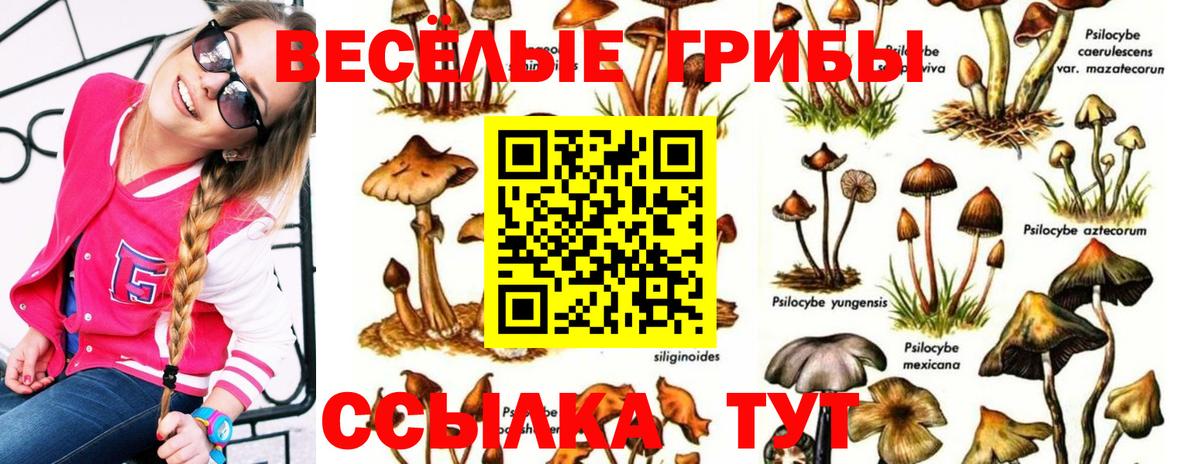 Псилоцибиновые грибы мухоморы  Вход с VPN  Валуйки 